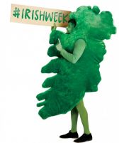 Неделя Ирландии в России Неделя Ирландии в России